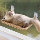 MEWOOFUN Cat Window Perch, Foldable with Removable and Reversible Cover, Soft Cat Window Hammock with Reinforced Steel Frame, Stable up to 18 kg Load Capacity (White, M) MEWOOFUN Cat Window Perch, Foldable with Removable and Reversible Cover, Soft Cat Window Hammock with Reinforced Steel Frame, Stable up to 18 kg Load Capacity (White, M)