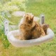 MEWOOFUN Large Cat Hammock Window with Removable Thick Cover - Foldable Hammock Cat Window Stable for Cats, Cats Hammock with 4 Strong Suction Cups Holds 18 kg (Light Grey, M)