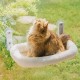 MEWOOFUN Large Cat Hammock Window with Removable Thick Cover - Foldable, Stable, 4 Strong Suction Cups, Holds 18 kg (White, M) MEWOOFUN Large Cat Hammock Window with Removable Thick Cover - Foldable, Stable, 4 Strong Suction Cups, Holds 18 kg (White, M)