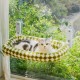 MEWOOFUN Large Cat Hammock Window with Removable Thick Cover - Foldable, Stable, 4 Strong Suction Cups, Holds 18 kg (White, M) MEWOOFUN Large Cat Hammock Window with Removable Thick Cover - Foldable, Stable, 4 Strong Suction Cups, Holds 18 kg (White, M)
