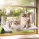 MEWOOFUN Soft Cat Window Hammock - 54 x 30 cm Foldable Cat Window Bed with Reversible Mat, Sturdy Cat Hammock Holds up to 18 kg (Beige - with Bed, M) MEWOOFUN Soft Cat Window Hammock - 54 x 30 cm Foldable Cat Window Bed with Reversible Mat, Sturdy Cat Hammock Holds up to 18 kg (Beige - with Bed, M)