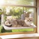 MEWOOFUN Soft Cat Window Hammock - 54 x 30 cm Foldable Cat Window Bed with Reversible Mat, Sturdy Cat Hammock Holds up to 18 kg (Beige - with Bed, M) MEWOOFUN Soft Cat Window Hammock - 54 x 30 cm Foldable Cat Window Bed with Reversible Mat, Sturdy Cat Hammock Holds up to 18 kg (Beige - with Bed, M)