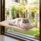 MEWOOFUN Soft Cat Window Hammock - 54 x 30 cm Foldable Cat Window Bed with Reversible Mat, Sturdy Cat Hammock Holds up to 18 kg (Beige - with Bed, M) MEWOOFUN Soft Cat Window Hammock - 54 x 30 cm Foldable Cat Window Bed with Reversible Mat, Sturdy Cat Hammock Holds up to 18 kg (Beige - with Bed, M)