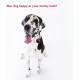 Majestic Bagel Pet Dog Bed by Pet Products Majestic Bagel Pet Dog Bed by Pet Products