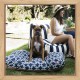 Majestic Pet Yellow Links Small Rectangle Indoor Outdoor Pet Dog Bed With Removable Washable Cover By Products Majestic Pet Yellow Links Small Rectangle Indoor Outdoor Pet Dog Bed With Removable Washable Cover By Products