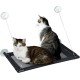 Maximex XXL Hammock, Window Mat for 2 Cats, Maximum Load 35 kg, Reliable Large Suction Cups, Includes Cuddly Warm Plush Cushion, 67 x 38 cm