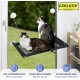 Maximex XXL Hammock, Window Mat for 2 Cats, Maximum Load 35 kg, Reliable Large Suction Cups, Includes Cuddly Warm Plush Cushion, 67 x 38 cm