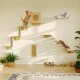 MeowHomm Cat Wall Shelves, Set of 5 Wooden Cat Wall Furniture MeowHomm Cat Wall Shelves, Set of 5 Wooden Cat Wall Furniture