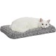 MidWest Homes for Pets 40618-SGB Cosy Ombre Swirl Pet Bed 46cm Long Mini Dog Cat Mocha MidWest Homes for Pets 40618-SGB Cosy Ombre Swirl Pet Bed 46cm Long Mini Dog Cat Mocha