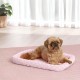 MidWest Homes for Pets 46cm Long Fleece Pet Bed with Comfort Pad Fits 18" Long Dog Crate Easy Care Machine Washable Tumble Dry 40218 White MidWest Homes for Pets 46cm Long Fleece Pet Bed with Comfort Pad Fits 18" Long Dog Crate Easy Care Machine Washable Tumble Dry 40218 White