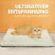 Mora Pets Self-Heating Cat Blanket, Heating Blanket for Cats, Dogs, Heat Blanket, Self-Warming Blanket, Cat Heating Mat, Noiseless Heat Cushion, Washable, Cat Bed, Fluffy and Soft, 74 x 48 cm Mora Pets Self-Heating Cat Blanket, Heating Blanket for Cats, Dogs, Heat Blanket, Self-Warming Blanket, Cat Heating Mat, Noiseless Heat Cushion, Washable, Cat Bed, Fluffy and Soft, 74 x 48 cm