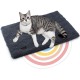 Mora Pets Self-Heating Cat Blanket, Heating Blanket for Cats, Dogs, Heat Blanket, Self-Warming Blanket, Cat Heating Mat, Noiseless Heat Cushion, Washable, Cat Bed, Fluffy and Soft, 74 x 48 cm Mora Pets Self-Heating Cat Blanket, Heating Blanket for Cats, Dogs, Heat Blanket, Self-Warming Blanket, Cat Heating Mat, Noiseless Heat Cushion, Washable, Cat Bed, Fluffy and Soft, 74 x 48 cm