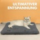 Mora Pets Self-Heating Cat Blanket, Heating Blanket for Cats, Dogs, Heat Blanket, Self-Warming Blanket, Cat Heating Mat, Noiseless Heat Cushion, Washable, Cat Bed, Fluffy and Soft, 74 x 48 cm Mora Pets Self-Heating Cat Blanket, Heating Blanket for Cats, Dogs, Heat Blanket, Self-Warming Blanket, Cat Heating Mat, Noiseless Heat Cushion, Washable, Cat Bed, Fluffy and Soft, 74 x 48 cm