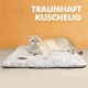 Mora Pets Self-Heating Cat Blanket, Heating Blanket for Cats, Dogs, Heat Blanket, Self-Warming Blanket, Cat Heating Mat, Noiseless Heat Cushion, Washable, Cat Bed, Fluffy and Soft, 74 x 48 cm Mora Pets Self-Heating Cat Blanket, Heating Blanket for Cats, Dogs, Heat Blanket, Self-Warming Blanket, Cat Heating Mat, Noiseless Heat Cushion, Washable, Cat Bed, Fluffy and Soft, 74 x 48 cm