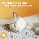 Mora Pets Self-Heating Cat Blanket, Heating Blanket for Cats, Dogs, Heat Blanket, Self-Warming Blanket, Cat Heating Mat, Noiseless Heat Cushion, Washable, Cat Bed, Fluffy and Soft, 74 x 48 cm Mora Pets Self-Heating Cat Blanket, Heating Blanket for Cats, Dogs, Heat Blanket, Self-Warming Blanket, Cat Heating Mat, Noiseless Heat Cushion, Washable, Cat Bed, Fluffy and Soft, 74 x 48 cm