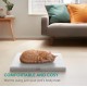 Navaris Self-Heating Blanket for Cats and Dogs - 60 x 45 x 4 cm Heat Mat Heat Blanket Fluffy Soft - Thermal Blanket with Zip and Removable Cover - White Navaris Self-Heating Blanket for Cats and Dogs - 60 x 45 x 4 cm Heat Mat Heat Blanket Fluffy Soft - Thermal Blanket with Zip and Removable Cover - White