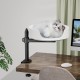 NestChroix Cat Bed for Desk, Raised Cat House Over Desk Keeps Kitten Cat Close and Work Area, Clear Cat Box with Pet Cushion (45° Rotating Pole) NestChroix Cat Bed for Desk, Raised Cat House Over Desk Keeps Kitten Cat Close and Work Area, Clear Cat Box with Pet Cushion (45° Rotating Pole)
