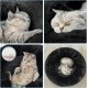 Nisrada Cat Beds for Indoor Cats, 50 cm, Dog Bed for Small Melium Large Dogs, Washable Round Pet Bed for Puppies and Kittens with Non-Slip Base Nisrada Cat Beds for Indoor Cats, 50 cm, Dog Bed for Small Melium Large Dogs, Washable Round Pet Bed for Puppies and Kittens with Non-Slip Base