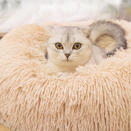 Nisrada Cat Beds for Indoor Cats, 50 cm, Dog Bed for Small Melium Large Dogs, Washable Round Pet Bed for Puppies and Kittens with Non-Slip Base Nisrada Cat Beds for Indoor Cats, 50 cm, Dog Bed for Small Melium Large Dogs, Washable Round Pet Bed for Puppies and Kittens with Non-Slip Base