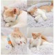 Nisrada Cat Beds for Indoor Cats, 50 cm, Dog Bed for Small Melium Large Dogs, Washable Round Pet Bed for Puppies and Kittens with Non-Slip Base Nisrada Cat Beds for Indoor Cats, 50 cm, Dog Bed for Small Melium Large Dogs, Washable Round Pet Bed for Puppies and Kittens with Non-Slip Base