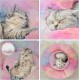 Nisrada Cat Beds for Indoor Cats, 50 cm, Dog Bed for Small Melium Large Dogs, Washable Round Pet Bed for Puppies and Kittens with Non-Slip Base Nisrada Cat Beds for Indoor Cats, 50 cm, Dog Bed for Small Melium Large Dogs, Washable Round Pet Bed for Puppies and Kittens with Non-Slip Base