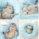 Nisrada Cat Beds for Indoor Cats, 50 cm, Dog Bed for Small Melium Large Dogs, Washable Round Pet Bed for Puppies and Kittens with Non-Slip Base Nisrada Cat Beds for Indoor Cats, 50 cm, Dog Bed for Small Melium Large Dogs, Washable Round Pet Bed for Puppies and Kittens with Non-Slip Base