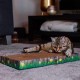 Nobby Scratching board made of cardboard, large, 48 x 25 x 5 cm, 1 piece (1 pack) Nobby Scratching board made of cardboard, large, 48 x 25 x 5 cm, 1 piece (1 pack)