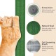 PINVNBY 4pcs Cat Scratching Post Replacement with Groomer, 15.7 Inch Natural Sisal Extension Scratching Post for Cats Tree DIY Crafts Climbing Perch Hemp Rope Scratching Perch Parts Green PINVNBY 4pcs Cat Scratching Post Replacement with Groomer, 15.7 Inch Natural Sisal Extension Scratching Post for Cats Tree DIY Crafts Climbing Perch Hemp Rope Scratching Perch Parts Green