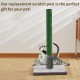 PINVNBY 4pcs Cat Scratching Post Replacement with Groomer, 15.7 Inch Natural Sisal Extension Scratching Post for Cats Tree DIY Crafts Climbing Perch Hemp Rope Scratching Perch Parts Green PINVNBY 4pcs Cat Scratching Post Replacement with Groomer, 15.7 Inch Natural Sisal Extension Scratching Post for Cats Tree DIY Crafts Climbing Perch Hemp Rope Scratching Perch Parts Green