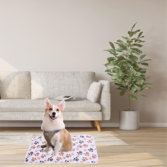Pack of 3 Cat Blankets, 40 x 60 cm, Cat Blanket for Cats, Cuddly Blanket, Dog, Washable and Fluffy, Soft and Warm Blankets, Pets for Small, Medium Dogs, Cats, Pet Blanket, Sleeping Mat Pack of 3 Cat Blankets, 40 x 60 cm, Cat Blanket for Cats, Cuddly Blanket, Dog, Washable and Fluffy, Soft and Warm Blankets, Pets for Small, Medium Dogs, Cats, Pet Blanket, Sleeping Mat