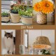 Parain Sisal Rope for Scratching Post, Cat Tree, Natural Sisal Rope, 6 mm (6 mm, 10 m) Parain Sisal Rope for Scratching Post, Cat Tree, Natural Sisal Rope, 6 mm (6 mm, 10 m)