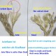 Parain Sisal Rope for Scratching Post, Cat Tree, Natural Sisal Rope, 6 mm (6 mm, 10 m) Parain Sisal Rope for Scratching Post, Cat Tree, Natural Sisal Rope, 6 mm (6 mm, 10 m)