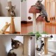 Parain Sisal Rope for Scratching Post, Cat Tree, Natural Sisal Rope, 6 mm (6 mm, 10 m) Parain Sisal Rope for Scratching Post, Cat Tree, Natural Sisal Rope, 6 mm (6 mm, 10 m)