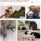 PawHut Cat Cave Cat Scratching Post with Scratching Board Play Balls Cat Bed Scratching Mat Multi-Tier Chipboard Plush Sisal Coffee 40 x 34 x 91 cm PawHut Cat Cave Cat Scratching Post with Scratching Board Play Balls Cat Bed Scratching Mat Multi-Tier Chipboard Plush Sisal Coffee 40 x 34 x 91 cm