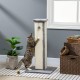 PawHut Scratching Post, 81 cm Scratching Post, Sisal Cat Scratching Post with Play Ball, Scratching Post for Cats, Scratching Furniture for Cats up to 5 kg, Indoor, Grey, Cream PawHut Scratching Post, 81 cm Scratching Post, Sisal Cat Scratching Post with Play Ball, Scratching Post for Cats, Scratching Furniture for Cats up to 5 kg, Indoor, Grey, Cream