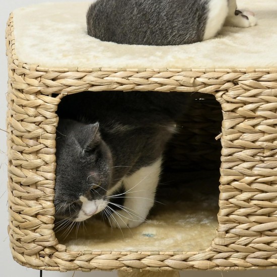 PawHut Scratching Post, 81 cm Scratching Post, Sisal Cat Scratching Post with Play Ball, Scratching Post for Cats, Scratching Furniture for Cats up to 5 kg, Indoor, Grey, Cream PawHut Scratching Post, 81 cm Scratching Post, Sisal Cat Scratching Post with Play Ball, Scratching Post for Cats, Scratching Furniture for Cats up to 5 kg, Indoor, Grey, Cream