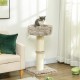 PawHut Scratching Post, 81 cm Scratching Post, Sisal Cat Scratching Post with Play Ball, Scratching Post for Cats, Scratching Furniture for Cats up to 5 kg, Indoor, Grey, Cream PawHut Scratching Post, 81 cm Scratching Post, Sisal Cat Scratching Post with Play Ball, Scratching Post for Cats, Scratching Furniture for Cats up to 5 kg, Indoor, Grey, Cream