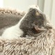 PawHut Scratching Post, 81 cm Scratching Post, Sisal Cat Scratching Post with Play Ball, Scratching Post for Cats, Scratching Furniture for Cats up to 5 kg, Indoor, Grey, Cream PawHut Scratching Post, 81 cm Scratching Post, Sisal Cat Scratching Post with Play Ball, Scratching Post for Cats, Scratching Furniture for Cats up to 5 kg, Indoor, Grey, Cream
