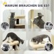 PawHut Scratching Post, 81 cm Scratching Post, Sisal Cat Scratching Post with Play Ball, Scratching Post for Cats, Scratching Furniture for Cats up to 5 kg, Indoor, Grey, Cream PawHut Scratching Post, 81 cm Scratching Post, Sisal Cat Scratching Post with Play Ball, Scratching Post for Cats, Scratching Furniture for Cats up to 5 kg, Indoor, Grey, Cream