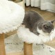 PawHut Scratching Post, 81 cm Scratching Post, Sisal Cat Scratching Post with Play Ball, Scratching Post for Cats, Scratching Furniture for Cats up to 5 kg, Indoor, Grey, Cream PawHut Scratching Post, 81 cm Scratching Post, Sisal Cat Scratching Post with Play Ball, Scratching Post for Cats, Scratching Furniture for Cats up to 5 kg, Indoor, Grey, Cream
