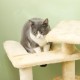 PawHut Scratching Post, 81 cm Scratching Post, Sisal Cat Scratching Post with Play Ball, Scratching Post for Cats, Scratching Furniture for Cats up to 5 kg, Indoor, Grey, Cream PawHut Scratching Post, 81 cm Scratching Post, Sisal Cat Scratching Post with Play Ball, Scratching Post for Cats, Scratching Furniture for Cats up to 5 kg, Indoor, Grey, Cream