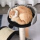 PawHut Scratching Post, 81 cm Scratching Post, Sisal Cat Scratching Post with Play Ball, Scratching Post for Cats, Scratching Furniture for Cats up to 5 kg, Indoor, Grey, Cream PawHut Scratching Post, 81 cm Scratching Post, Sisal Cat Scratching Post with Play Ball, Scratching Post for Cats, Scratching Furniture for Cats up to 5 kg, Indoor, Grey, Cream