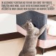 Pawtenda Self-Adhesive Scratching Mat, 40 x 200 cm, Cat Scratching Mat, Scratch Protection, Sofa Cat, Can Be Cut for Cat Trees, Floors, Walls, Furniture (Grey) Pawtenda Self-Adhesive Scratching Mat, 40 x 200 cm, Cat Scratching Mat, Scratch Protection, Sofa Cat, Can Be Cut for Cat Trees, Floors, Walls, Furniture (Grey)