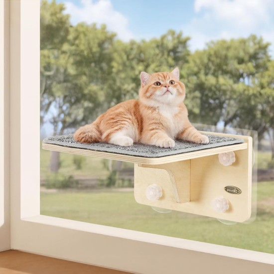 Pecute Cat Window Seats (42 x 30 x 6.5 cm), Cat Hammock Sisal with 2-in-1 Cat Scratching Post, Solid Wood Frame, Iron Holder and Powerful Suction Cup Pecute Cat Window Seats (42 x 30 x 6.5 cm), Cat Hammock Sisal with 2-in-1 Cat Scratching Post, Solid Wood Frame, Iron Holder and Powerful Suction Cup
