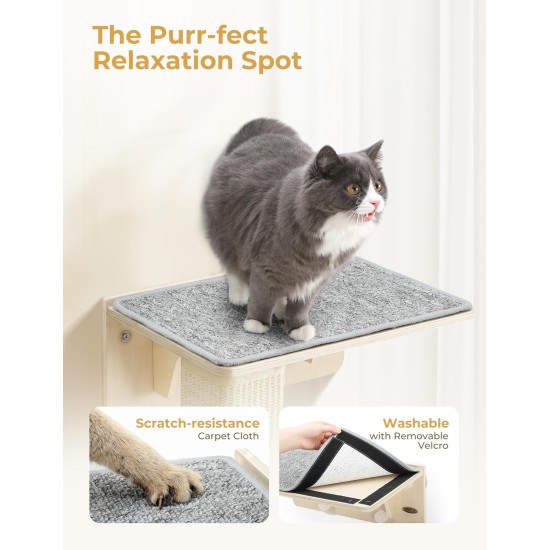 Pecute Cat Window Seats (42 x 30 x 6.5 cm), Cat Hammock Sisal with 2-in-1 Cat Scratching Post, Solid Wood Frame, Iron Holder and Powerful Suction Cup Pecute Cat Window Seats (42 x 30 x 6.5 cm), Cat Hammock Sisal with 2-in-1 Cat Scratching Post, Solid Wood Frame, Iron Holder and Powerful Suction Cup