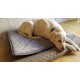 Pet Magasin Extra 90% Thermal Cat Bed - Self Heating Mat with Heat Insulation Layers for Cats, Dogs, Puppies and Other Small Pets - 2-Piece Pet Magasin Extra 90% Thermal Cat Bed - Self Heating Mat with Heat Insulation Layers for Cats, Dogs, Puppies and Other Small Pets - 2-Piece