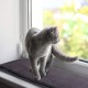 Pet Prime Cat Window Mat for Window Sills, Cat Window Hammock Pet Prime Cat Window Mat for Window Sills, Cat Window Hammock