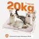 Pet Prime Window Lounger for Cats with 85 mm Suction Cups & 20 kg Load Capacity - Removable Covers, Stainless Steel Frame, 45 x 32 cm Window Sill Replacement for Indoor, Foldable & Cordless Pet Prime Window Lounger for Cats with 85 mm Suction Cups & 20 kg Load Capacity - Removable Covers, Stainless Steel Frame, 45 x 32 cm Window Sill Replacement for Indoor, Foldable & Cordless