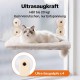 Pet Prime Window Lounger for Cats with 85 mm Suction Cups & 20 kg Load Capacity - Removable Covers, Stainless Steel Frame, 45 x 32 cm Window Sill Replacement for Indoor, Foldable & Cordless Pet Prime Window Lounger for Cats with 85 mm Suction Cups & 20 kg Load Capacity - Removable Covers, Stainless Steel Frame, 45 x 32 cm Window Sill Replacement for Indoor, Foldable & Cordless