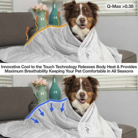 PetFusion Premium Cooling Blanket for Cats and Dogs, Lightweight Pet Blanket, Machine Washable, Multiple Sizes: for Small to Extra Large Pets, Multiple Colors: Grey and Brown Blanket PetFusion Premium Cooling Blanket for Cats and Dogs, Lightweight Pet Blanket, Machine Washable, Multiple Sizes: for Small to Extra Large Pets, Multiple Colors: Grey and Brown Blanket